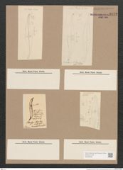Pleurosigma sp. (de-Toni-Nr.: Genus 13) Zeichnungen Sammlung Grunow Nr. 2172 (NHMW-BOT-W0369235)